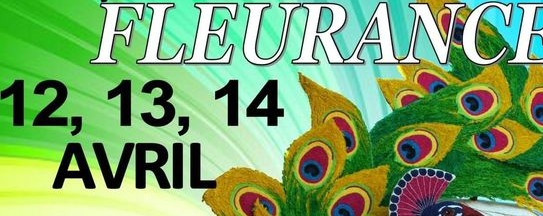 Carnaval De Fleurance 