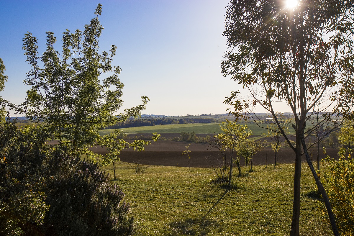 Domaine des Cadets de Gascogne, vue sur le Gers