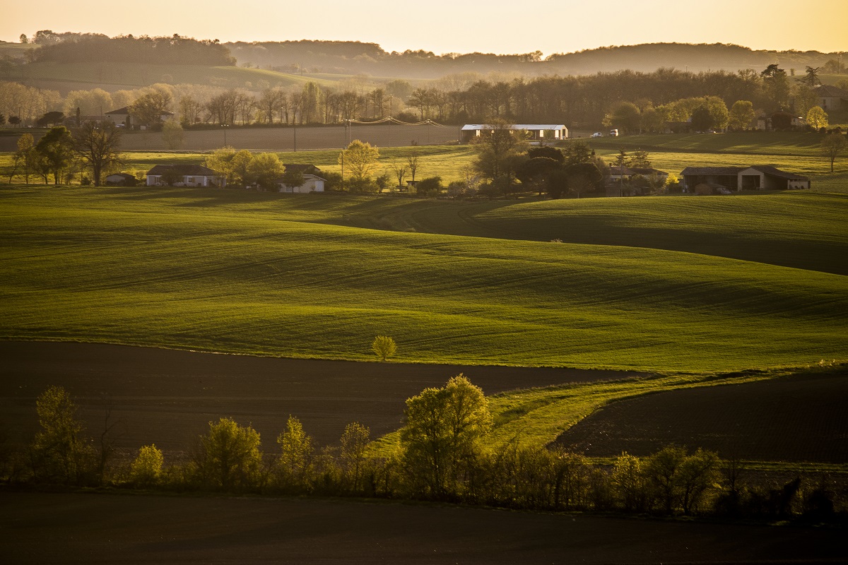 Vallée de Lomagne